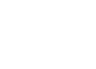 Blokees